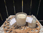 Lavender Cloud Serenity Candle